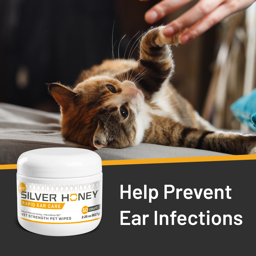 SilverHoney_EarWipes_Social_PreventEarInfections_Square